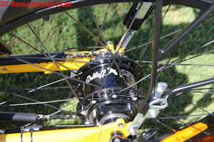 MagnumFat1 recumbent trike